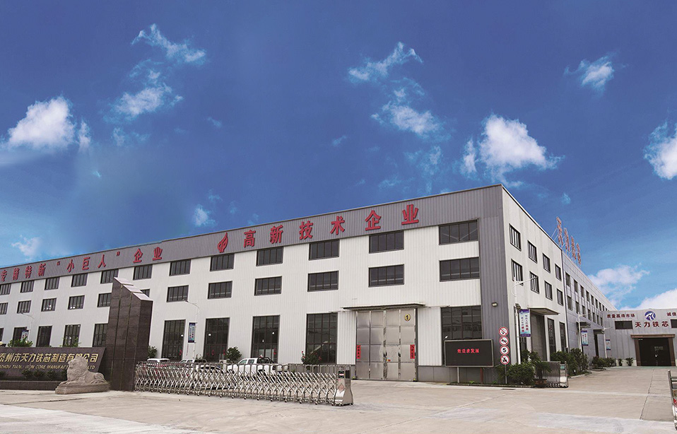 Taizhou Tianli Demir Çekirdek İmalatı Co, Ltd.